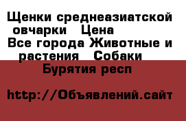 Щенки среднеазиатской овчарки › Цена ­ 20 000 - Все города Животные и растения » Собаки   . Бурятия респ.